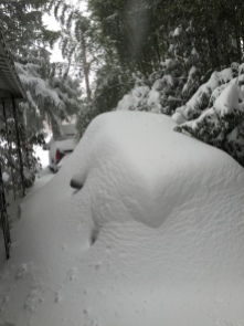 My car buried under the snow.